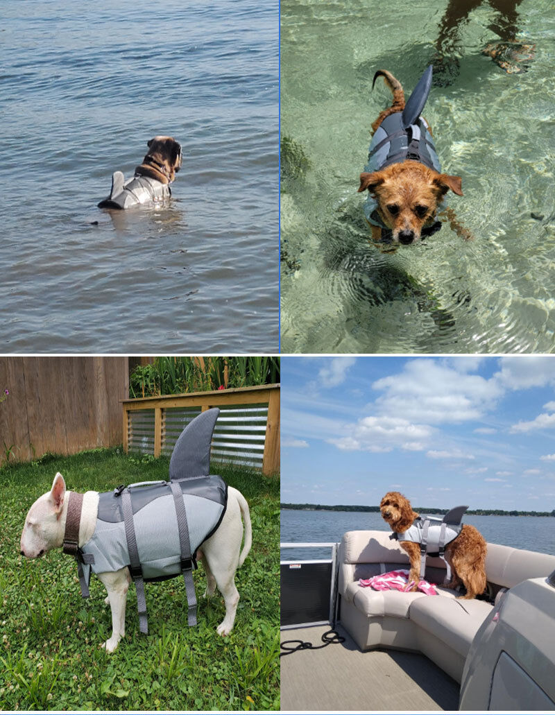 Pet products Dog Life Jacket, Cute Shark Dog Life Vest for Swimming Boating with Superior Buoyancy and Rescue Handle, Adjustable Puppy Floating Swim Vest for Small Medium Large Dogs(L)