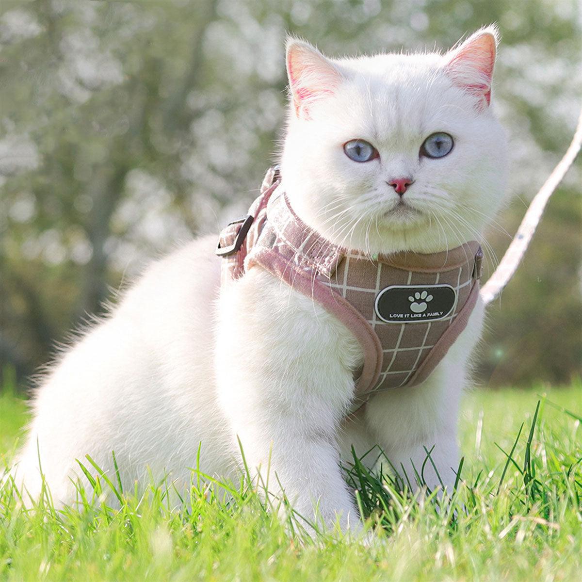 Pink Kitten Dog Cat Walking Adjustable Harness Leash Collar - S