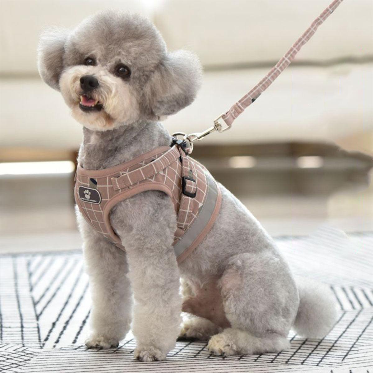 Pink Kitten Dog Cat Walking Adjustable Harness Leash Collar - S