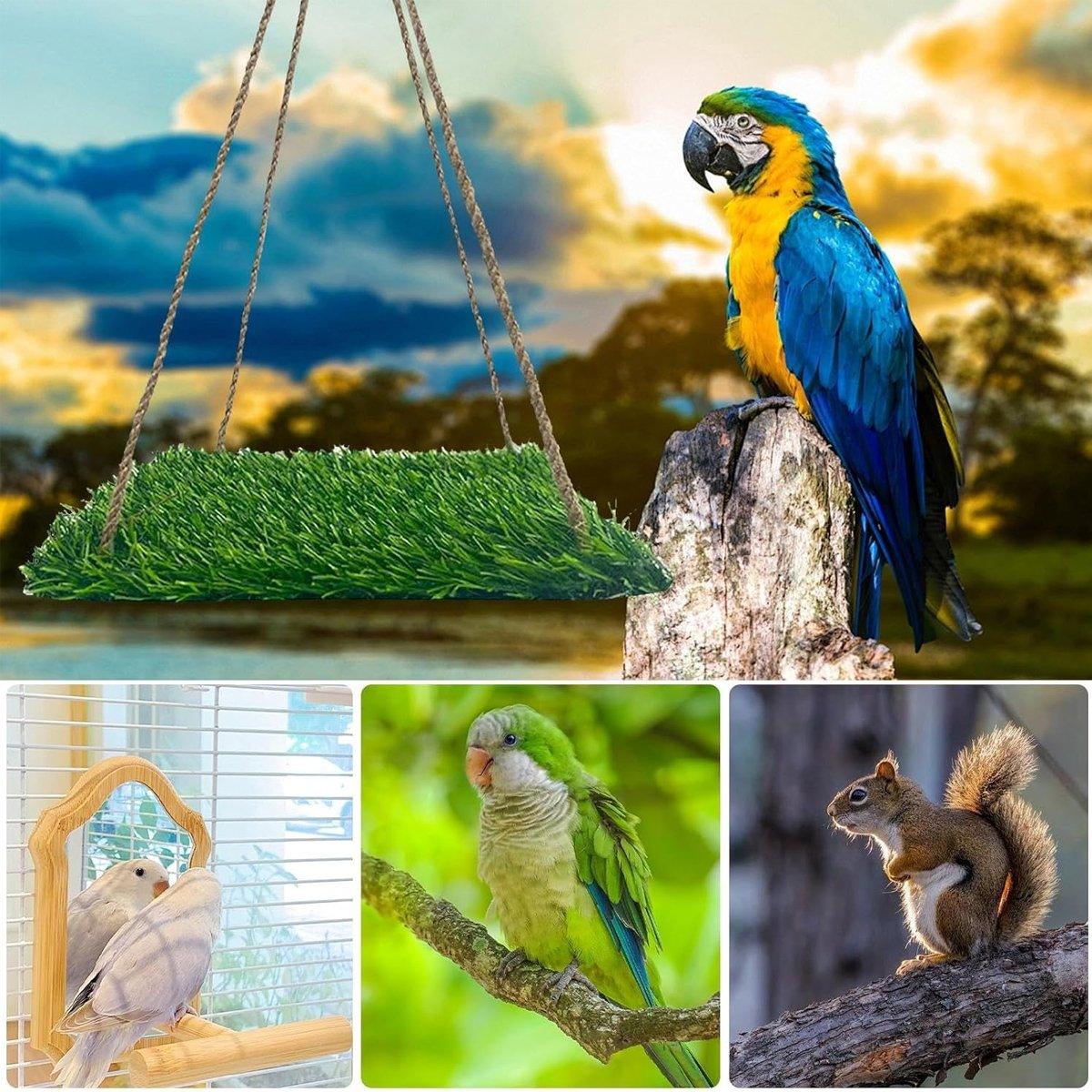 Parrot Turf Hammock Climbing Toy for Guinea Pig Bed Hanging Swing for Small Pet - Quadrate