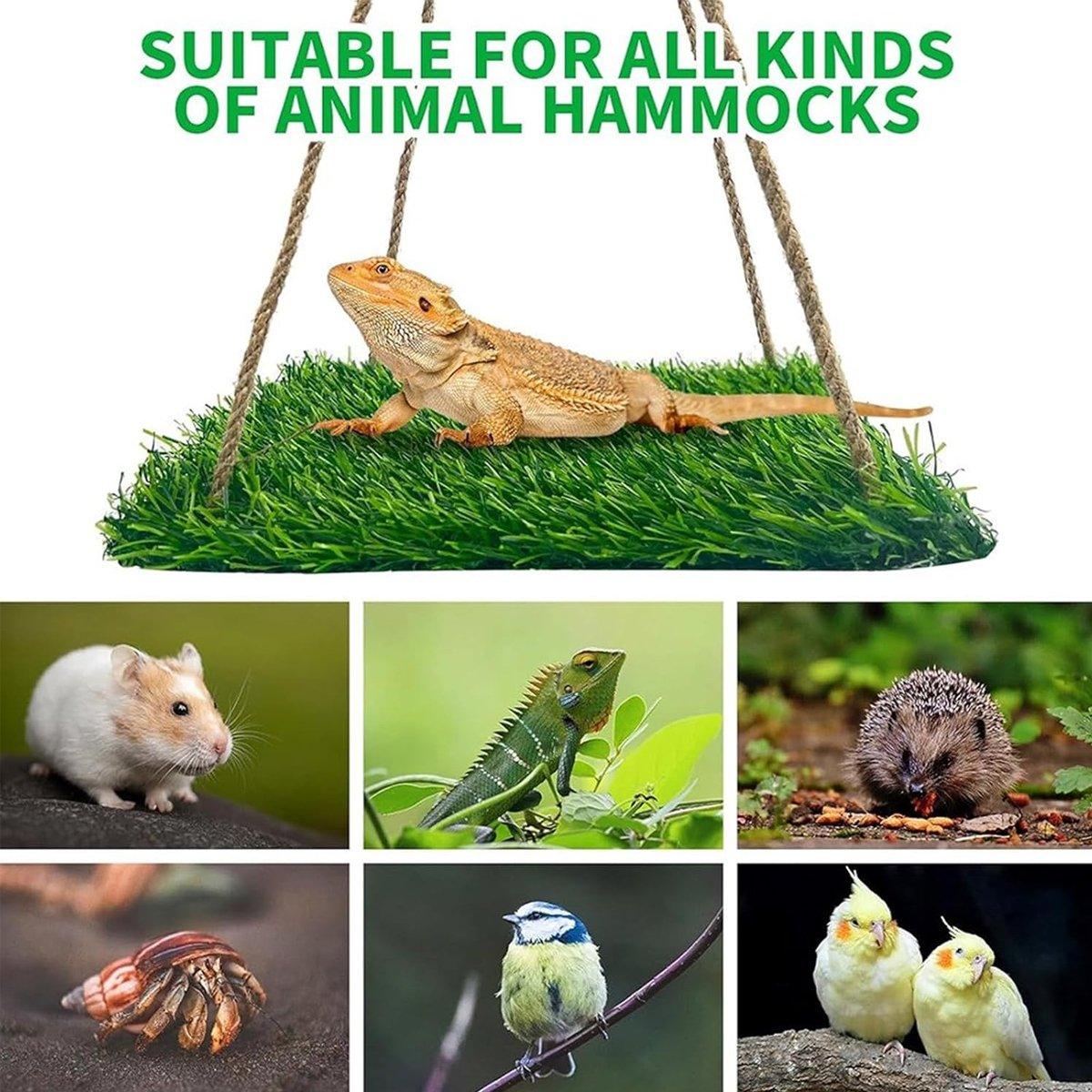 Parrot Turf Hammock Climbing Toy for Guinea Pig Bed Hanging Swing for Small Pet - Roundness