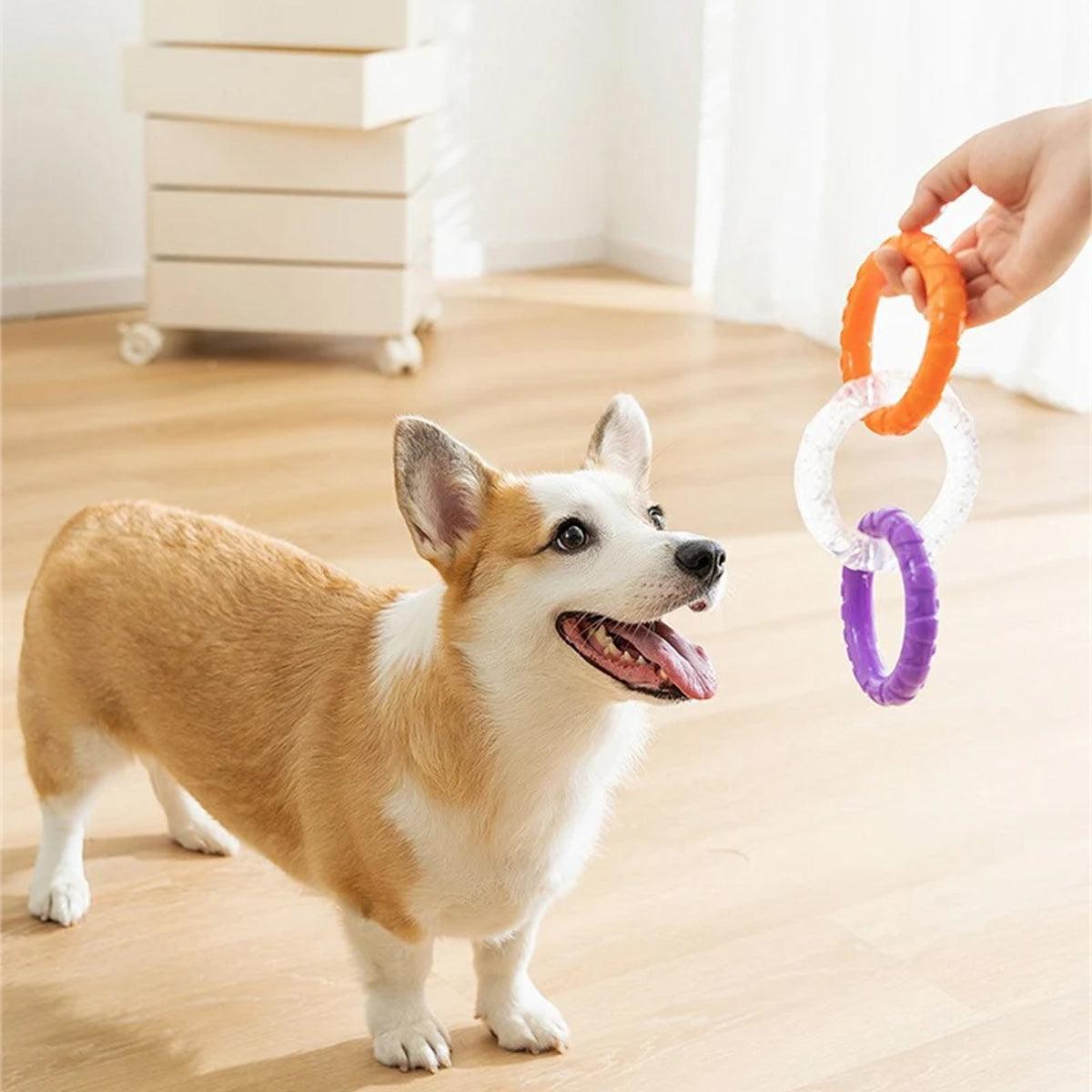 Interactive Dog Toys TRP Rubber Ring Teething Chew Play Fetch - Green-Purple