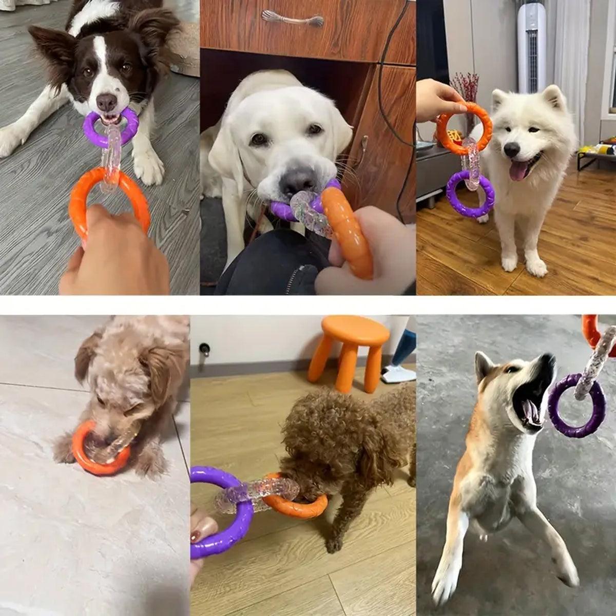 Interactive Dog Toys TRP Rubber Ring Teething Chew Play Fetch - Green-Purple