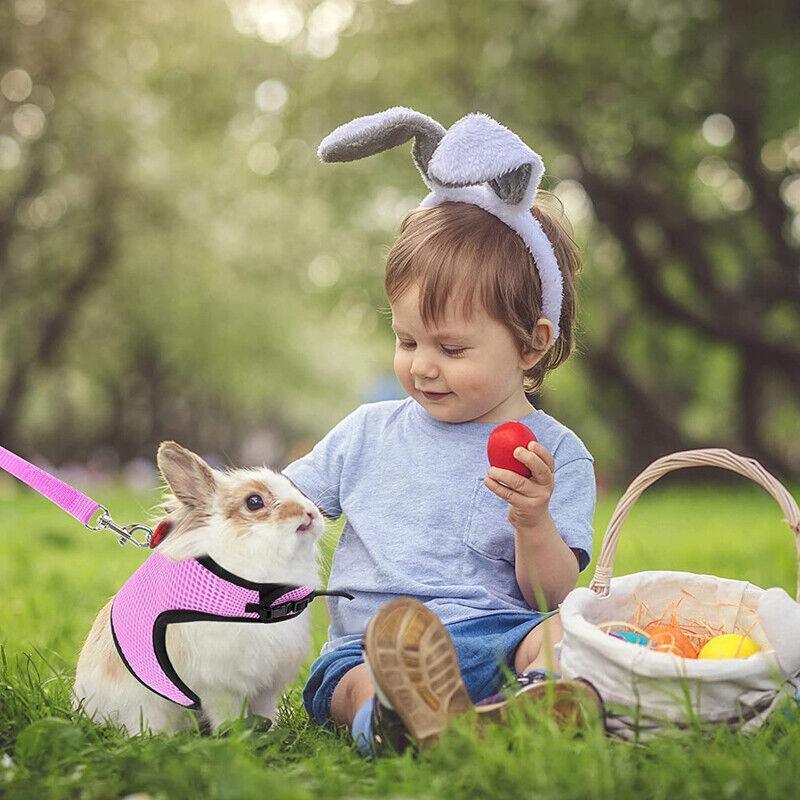 Rabbit Vest Harness Leash for Guinea Pig Traction Rope M - Pink