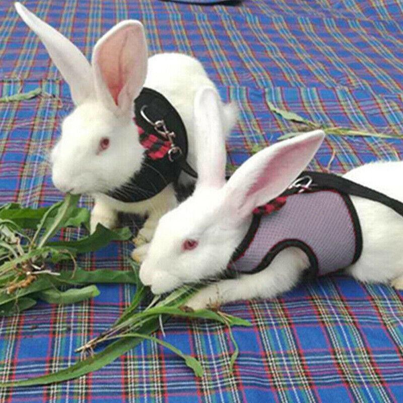 Rabbit Vest Harness Leash for Guinea Pig Traction Rope M - Pink