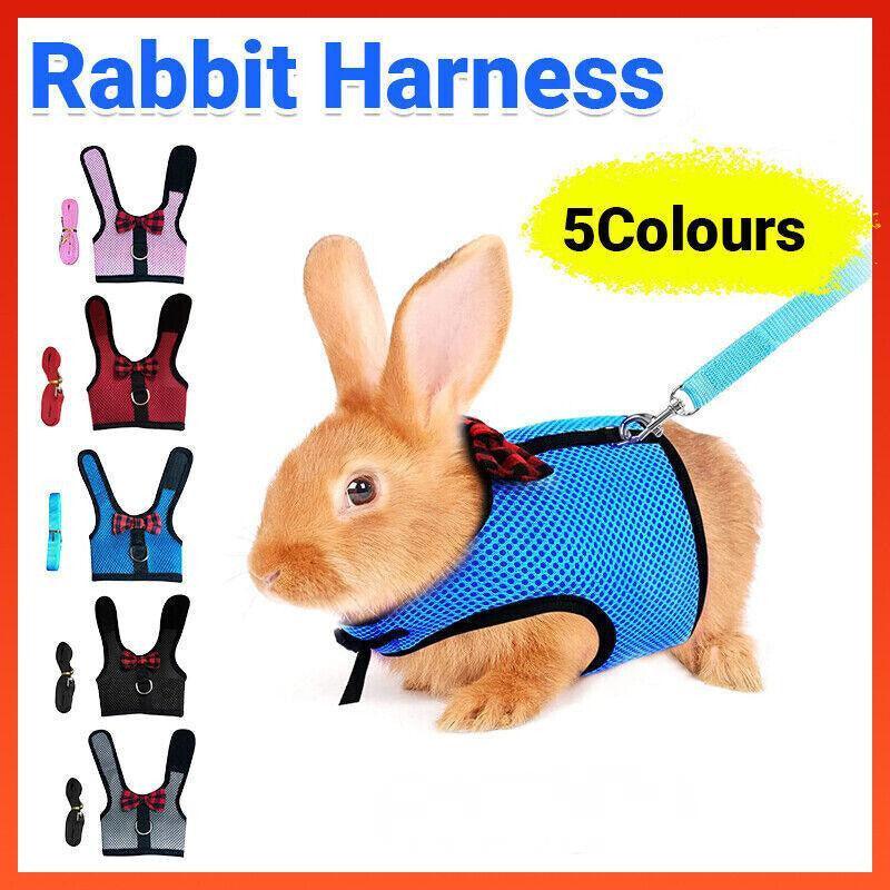 Rabbit Vest Harness Leash for Guinea Pig Traction Rope M - Red