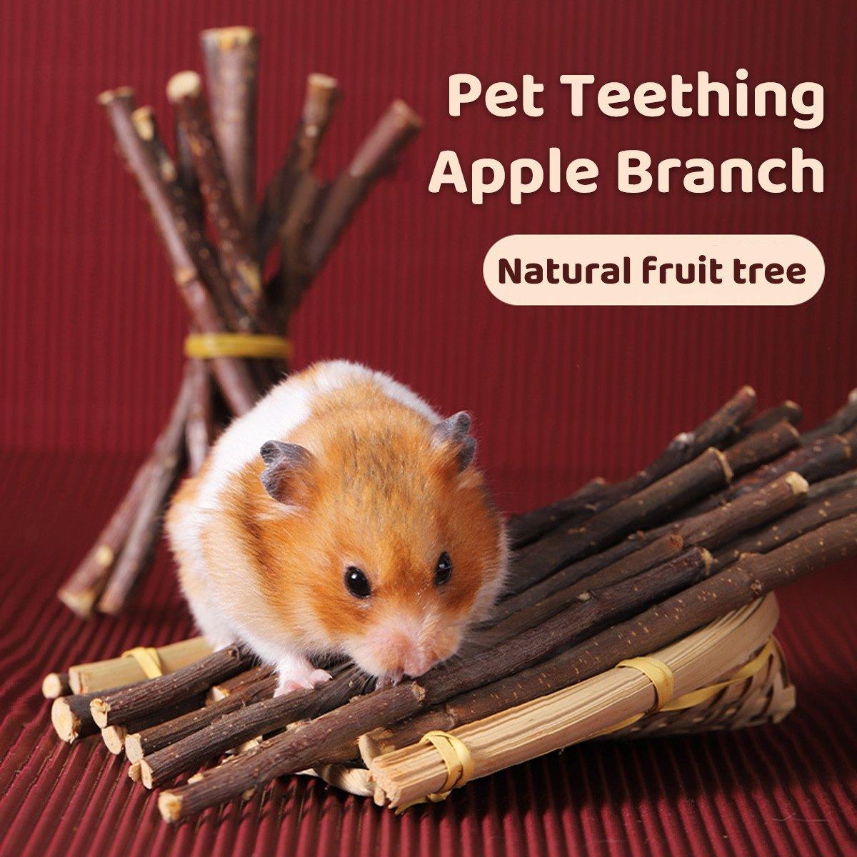 Natural Rabbit Molar Snacks Guinea Pig Branches Sweet Bamboo Grinding Teeth Wood - Black