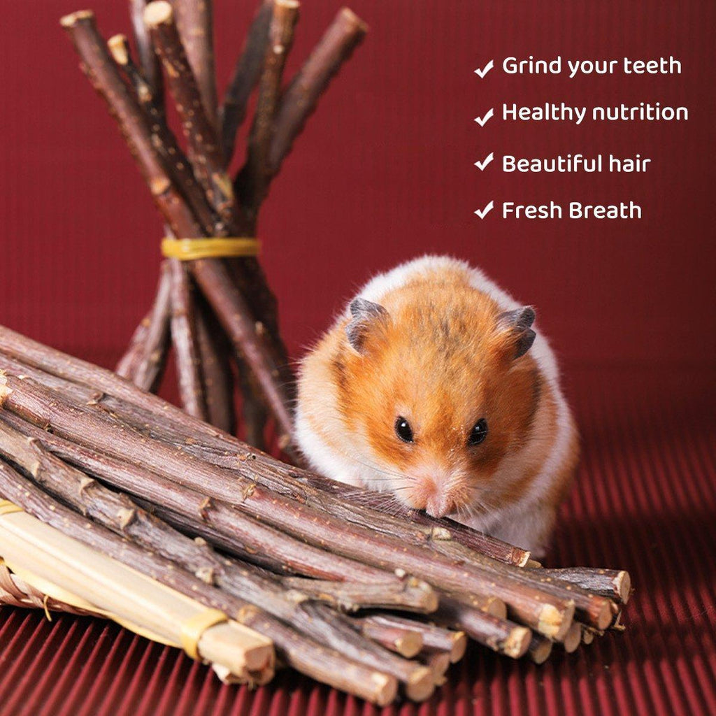 Natural Rabbit Molar Snacks Guinea Pig Branches Sweet Bamboo Grinding Teeth Wood - Black