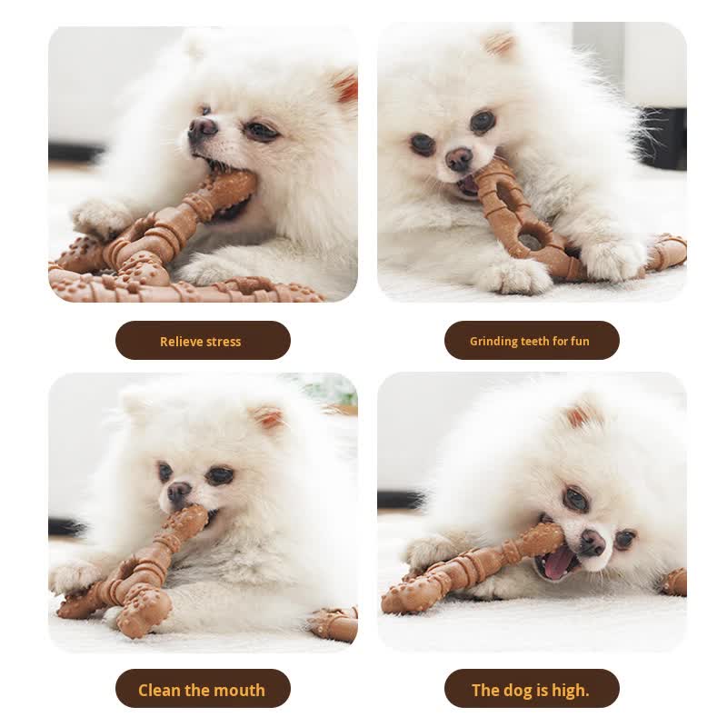 Glasses Durable Dog Chew Toy for Dental Health for Small & Medium Dogs