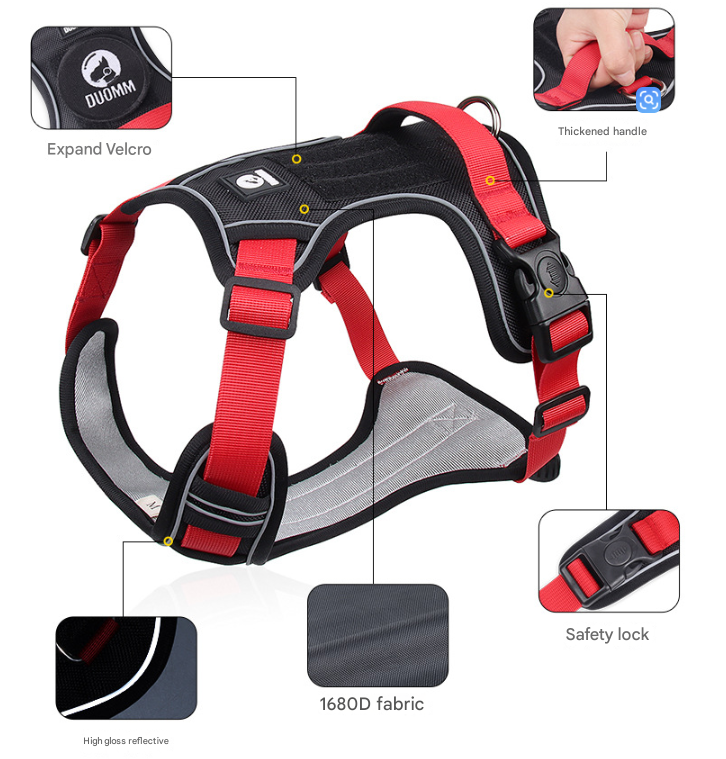 Blue S Adjustable No-Pull Dog Harness and Leash Set - Reflective & Padded Vest for Medium to Large Dogs