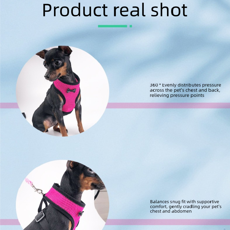 2-Pcs Black Adjustable Pet Harness with Leash – Breathable Mesh Design for Small Dogs, Cats, Chickens, Ducks & More | Anti-Escape, 360° Support, Lightweight & Comfortable in Australia(Size:M)