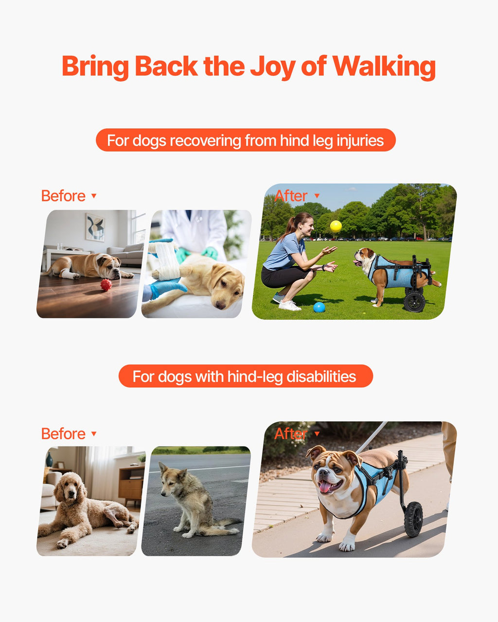 VEVOR Mobility Support Wheel Chair for Disabled Injured Dogs up to 15kg, Medium
