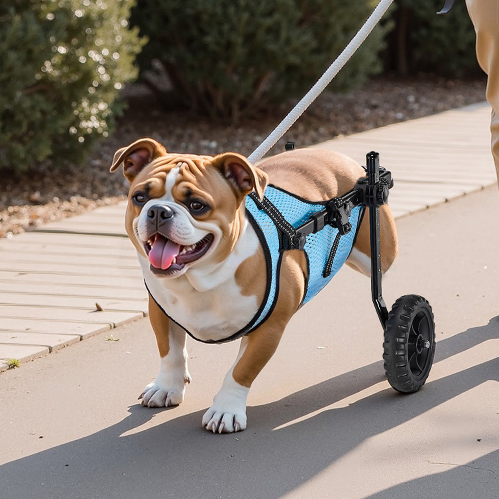 VEVOR Mobility Support Wheel Chair for Disabled Injured Dogs up to 15kg, Medium